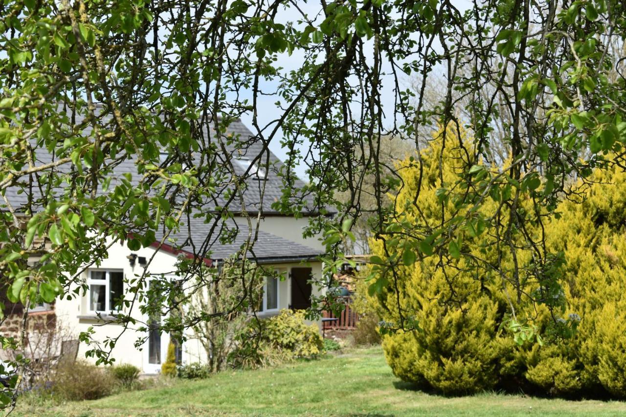 Le Petit Verger, 1 Impasse De La Fenouillere 61330 Ceauce Exterior photo